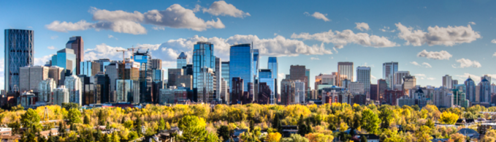 Home Solution Investment LLC